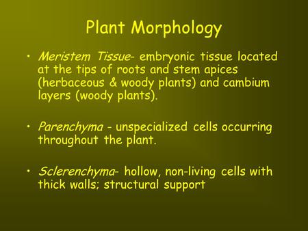 Plant Morphology Meristem Tissue- embryonic tissue located at the tips of roots and stem apices (herbaceous & woody plants) and cambium layers (woody plants).