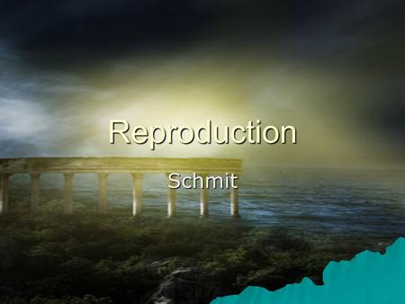 Reproduction Schmit REPRODUCTION AND DEVELOPMENT IN PLANTS Asexual reproduction: - Plants being remade without sex cells (egg or sperm/pollen) - Plants.
