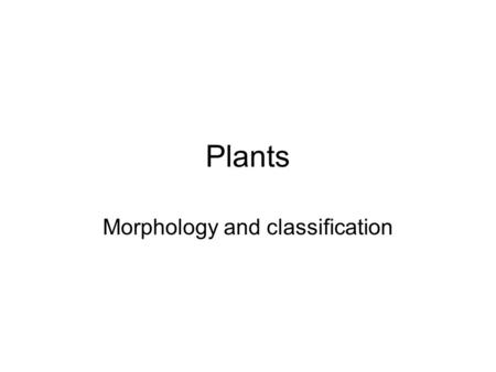 Morphology and classification