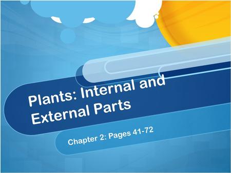 Plants: Internal and External Parts Chapter 2: Pages 41-72.