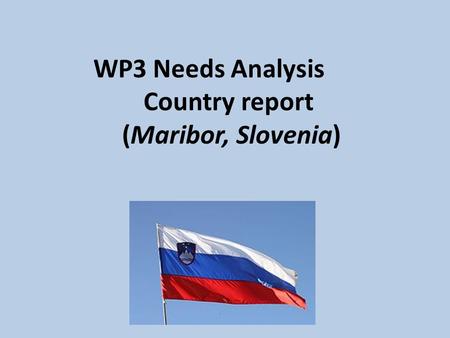 WP3 Needs Analysis Country report (Maribor, Slovenia)
