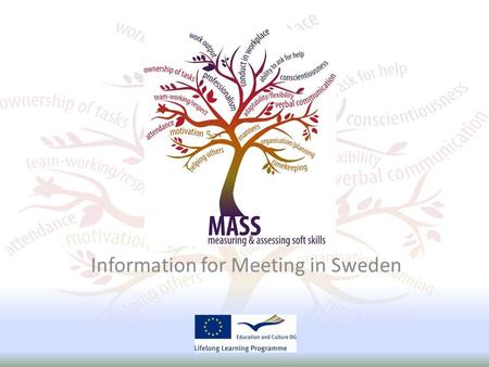 Information for Meeting in Sweden. FEEDBACK FROM UK NATIONAL AGENCY.