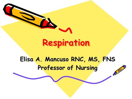 RespirationRespiration Elisa A. Mancuso RNC, MS, FNS Professor of Nursing.