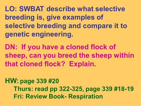 LO: SWBAT describe what selective breeding is, give examples of selective breeding and compare it to genetic engineering. DN: If you have a cloned flock.