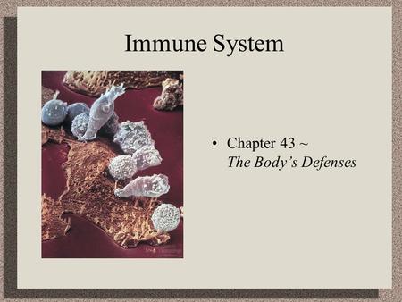 Immune System Chapter 43 ~ The Body’s Defenses. Lines of Defense Nonspecific Defense Mechanisms……