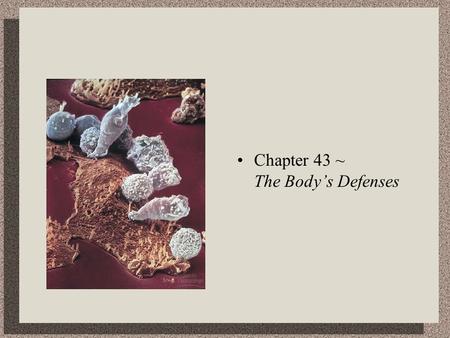 Chapter 43 ~ The Body’s Defenses. Lines of Defense Nonspecific Defense Mechanisms……
