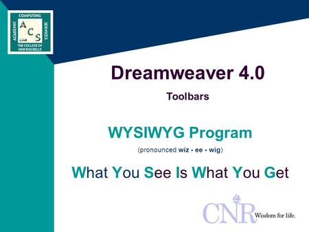 WYSIWYG Program (pronounced wiz - ee - wig) What You See Is What You Get Dreamweaver 4.0 Toolbars.