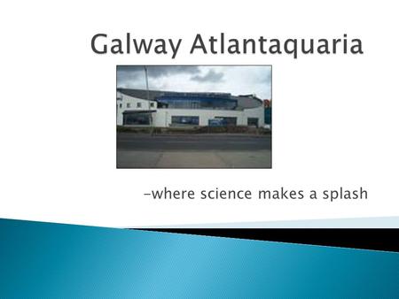-where science makes a splash.  The Atlantaquaria is located in Salthill looking out onto Galway Bay.  The river that flows through Galway is called.