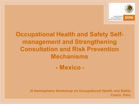III Hemispheric Workshop on Occupational Health and Safety. Cuzco, Peru. Occupational Health and Safety Self- management and Strengthening Consultation.