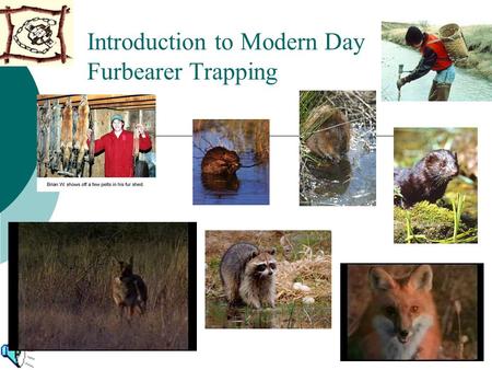 Introduction to Modern Day Furbearer Trapping. What Furbearer Trapping is All About: Conservation and Management  Trapping is Ecologically Sound  Trapping.