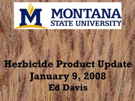 Herbicide Product Update January 9, 2008 Ed Davis.