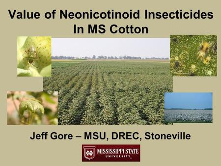 Value of Neonicotinoid Insecticides In MS Cotton Jeff Gore – MSU, DREC, Stoneville.