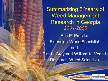 Summarizing 5 Years of Weed Management Research in Georgia 2001-2005 Eric P. Prostko Extension Weed Specialist and Tim L. Grey and William K. Vencill Research.