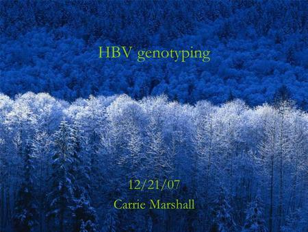 HBV genotyping 12/21/07 Carrie Marshall. Received a send-out request for HBV genotyping on a 52y man.