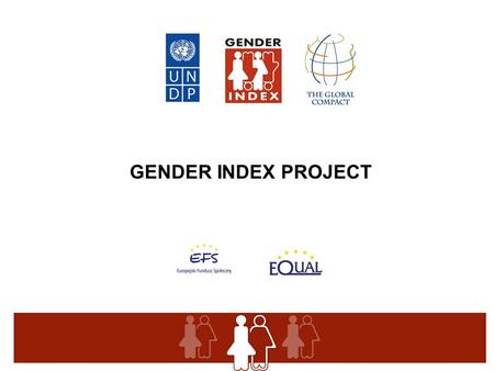 GENDER INDEX PROJECT. Objectives Counteract women discrimination in the workplace by supporting good workplace environments that promote equal opportunities.