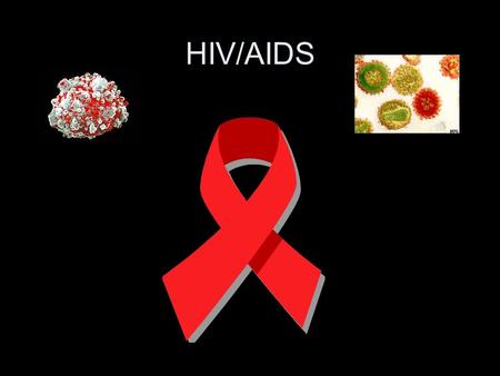 HIV/AIDS. Transmission categories of adults and adolescents with HIV/AIDS diagnosed during 2004.