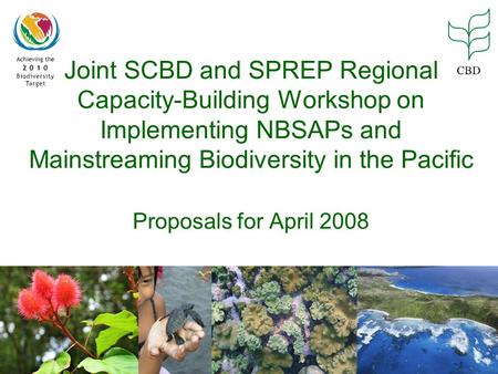 Joint SCBD and SPREP Regional Capacity-Building Workshop on Implementing NBSAPs and Mainstreaming Biodiversity in the Pacific Proposals for April 2008.