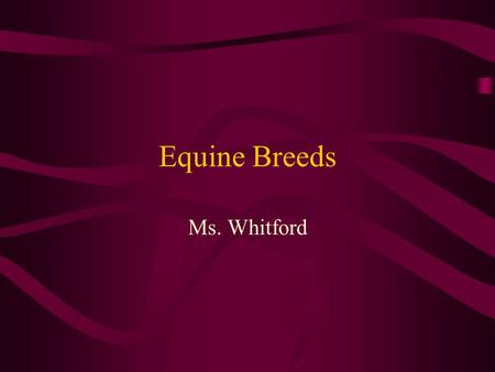 Equine Breeds Ms. Whitford. Light Horses At least 14.2 hands tall at the withers 900 - 1400 pounds Most common type of horse in the United States.