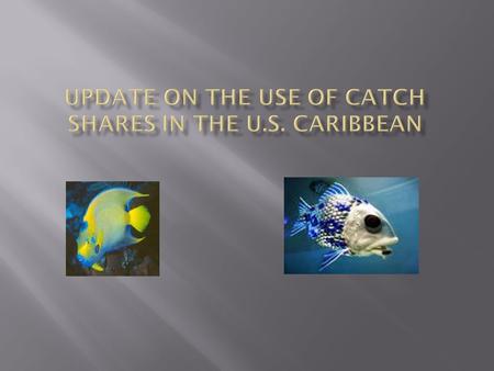  Definition: “ Catch share” is a general term for several fishery management strategies that allocate a specific portion of the total allowable fishery.