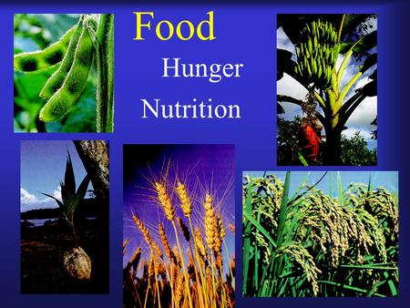 Food Hunger Nutrition. How is food produced? Plants.