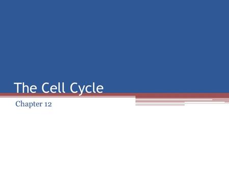 The Cell Cycle Chapter 12. Modeling the Cell Cycle in a Normal Cell Objective: model the events and controls of the cell cycle. At your station… ▫A large.