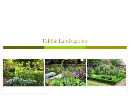 Edible Landscaping!.