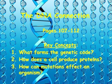 The DNA Connection Pages Key Concepts: