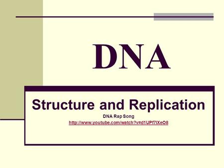 Structure and Replication