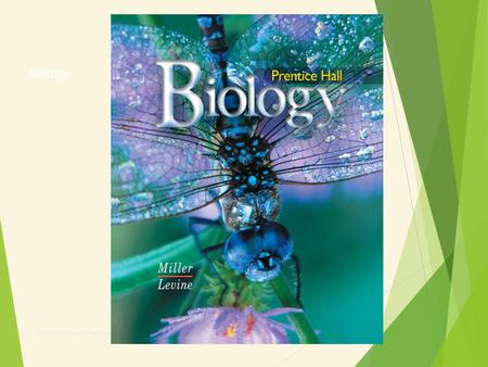 Biology Copyright Pearson Prentice Hall.