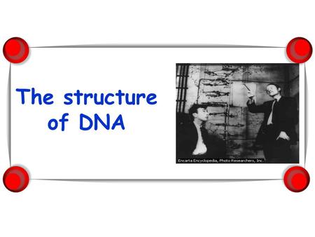The structure of DNA.
