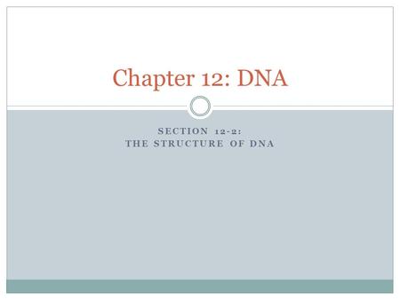 Section 12-2: The structure of DNA