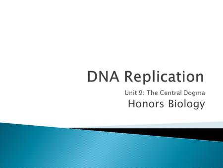 Unit 9: The Central Dogma Honors Biology.  The process of DNA replication is fundamentally similar for prokaryotes and eukaryotes.  DNA replication.