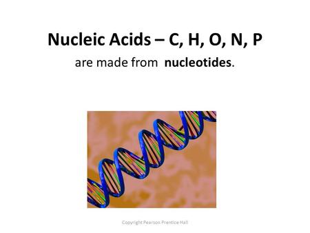 Copyright Pearson Prentice Hall Nucleic Acids – C, H, O, N, P are made from nucleotides.