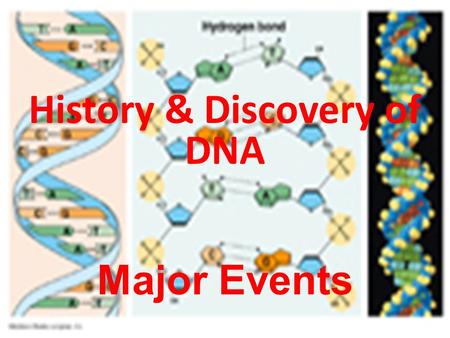 History & Discovery of DNA Major Events. I) Are genes made up of DNA or proteins? A) Mendel’s work brings about a new way of looking at inheritance.