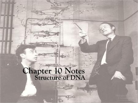 Chapter 10 Notes Structure of DNA. DNA is Made up repeating units of nucleotides Three parts of a Nucleotide are: 1. Deoxyribose sugar 2. Phosphate group.