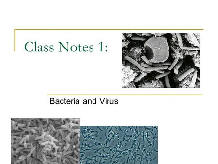 Class Notes 1: Bacteria and Virus.