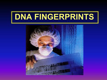 DNA FINGERPRINTS. No two people in the world have the same DNA (except Identical twins) A majority of DNA is actually the same for all humans. About 0.10.
