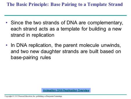 Copyright © 2005 Pearson Education, Inc. publishing as Benjamin Cummings The Basic Principle: Base Pairing to a Template Strand Since the two strands of.