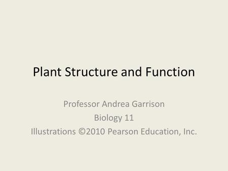 Plant Structure and Function Professor Andrea Garrison Biology 11 Illustrations ©2010 Pearson Education, Inc.