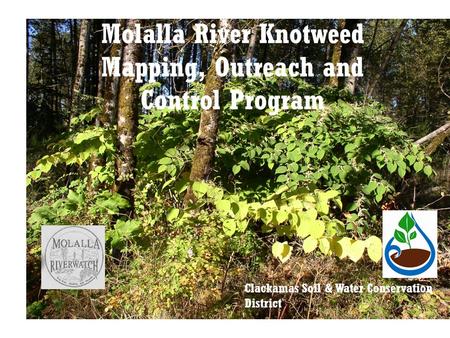 Molalla River Knotweed Mapping, Outreach and Control Program Clackamas Soil & Water Conservation District.