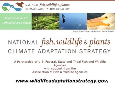 A Partnership of U.S. Federal, State and Tribal Fish and Wildlife Agencies with support from the Association of Fish & Wildlife Agencies Shared solutions.