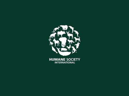 Food safety concerns regarding horsemeat imports from non-EU countries Dr. Joanna Swabe EU Executive Director, Humane Society International.