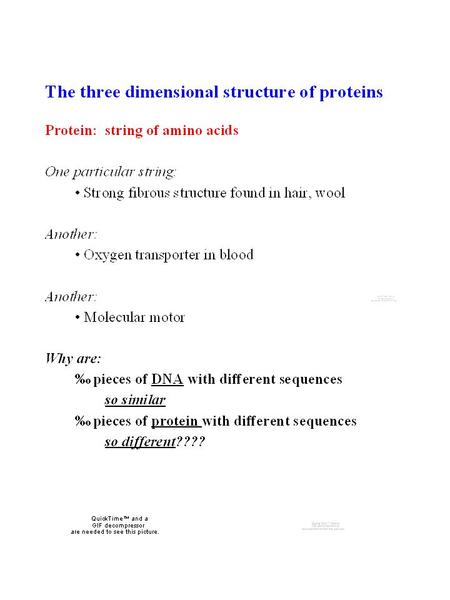 3-Dimensional Structure of Proteins 4 levels of protein structure: