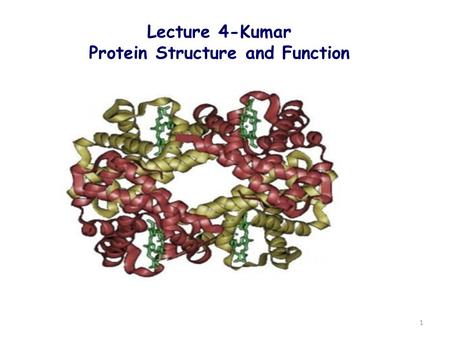 Lecture 4-Kumar Protein Structure and Function 1.