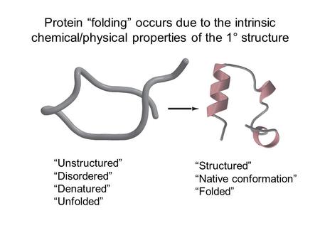 Protein “folding” occurs due to the intrinsic chemical/physical properties of the 1° structure “Unstructured” “Disordered” “Denatured” “Unfolded” “Structured”