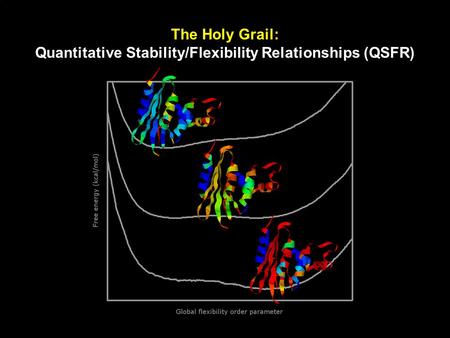 The Holy Grail: Quantitative Stability/Flexibility Relationships (QSFR)