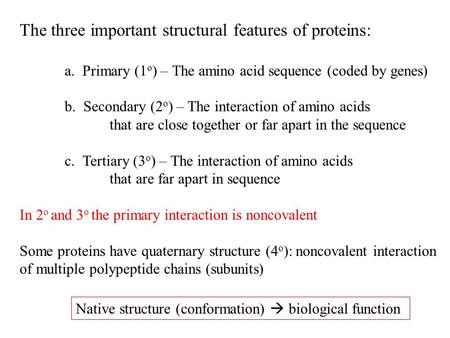 The three important structural features of proteins: a. Primary (1 o ) – The amino acid sequence (coded by genes) b. Secondary (2 o ) – The interaction.