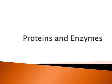  Proteins have many different functions in the body  Structure – proteins help provide structure and support, make up muscles and bones.