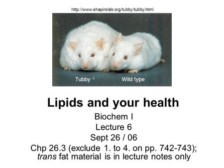 Lipids and your health Biochem I Lecture 6 Sept 26 / 06 Chp 26.3 (exclude 1. to 4. on pp. 742-743); trans fat material is in lecture notes only