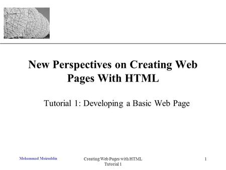 XP Mohammad Moizuddin Creating Web Pages with HTML Tutorial 1 1 New Perspectives on Creating Web Pages With HTML Tutorial 1: Developing a Basic Web Page.